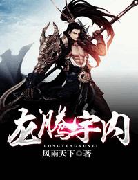 龙腾宇内有声小说