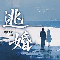 逃婚有声小说