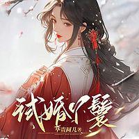 试婚丫鬟有声小说