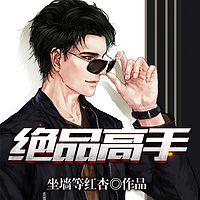 绝品高手有声小说