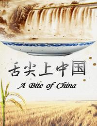 舌尖上的中国有声小说