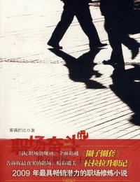 职场奋斗记-我在职场二十年有声小说