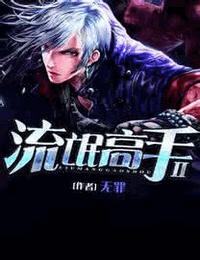 流氓高手有声小说