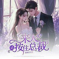 来人，请按住总裁