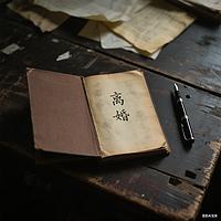 离婚  作者老舍  演播 老丰有声小说