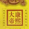 康熙大帝2惊风密雨有声小说