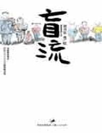 盲流有声小说