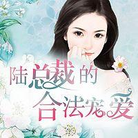 陆总裁的合法宠爱有声小说