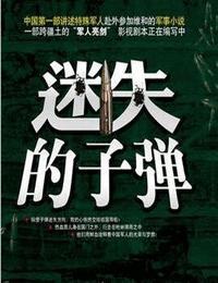 迷失的子弹有声小说