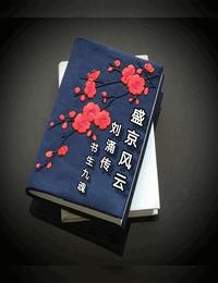 盛京风云刘涌全传有声小说