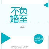 不负婚至有声小说