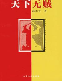天下无贼有声小说