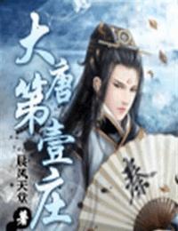 大唐第一庄有声小说