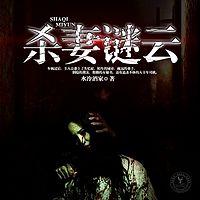 杀妻谜云有声小说