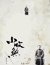 小收煞有声小说