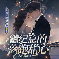 破镜重圆，纪总的落跑甜心有声小说