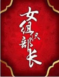 女组织部长有声小说