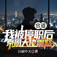 官道：我被停职后，京圈大佬震怒有声小说