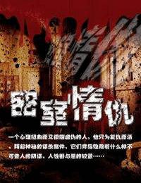 密室情仇有声小说