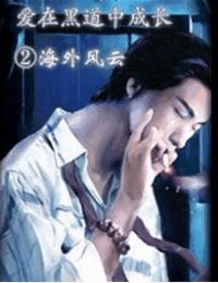 良辰讵可待有声小说