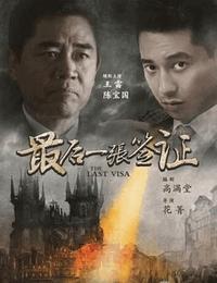 最后一张签证有声小说