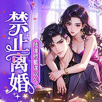 禁止离婚！陆律师蓄谋已久有声小说