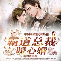 霸道总裁暖心婚有声小说