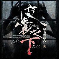 皮囊之下有声小说