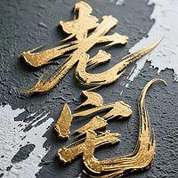 我的老宅有声小说
