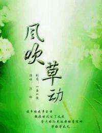 风吹草动有声小说