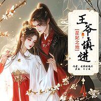 是妃之地：王爷，慎进有声小说