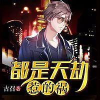 都是天劫惹的祸有声小说