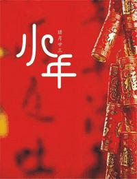 小年有声小说