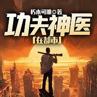 功夫神医在都市有声小说