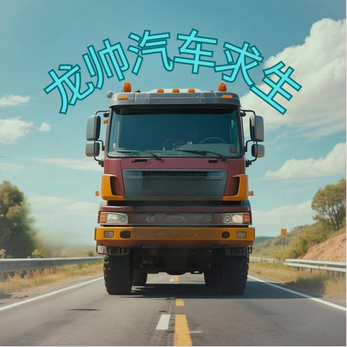 龙帅汽车求生
