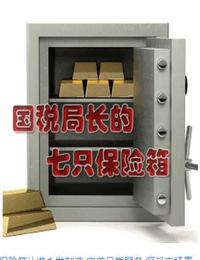 国税局长的7只保险箱有声小说