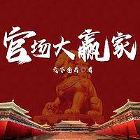 官场大赢家有声小说