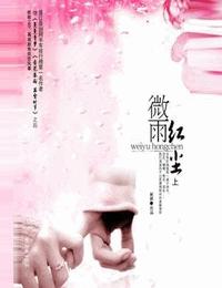 微雨红尘上部有声小说