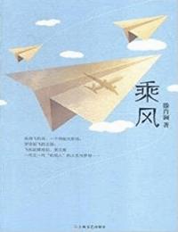 乘风有声小说