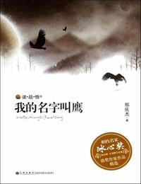 我的名字叫鹰有声小说