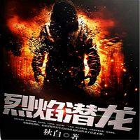 烈焰潜龙有声小说