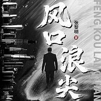 风口浪尖有声小说