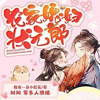 农家媳妇状元郎有声小说