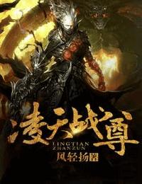 凌天战尊有声小说