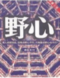 野心有声小说