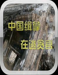 中国缉拿在逃贪官有声小说