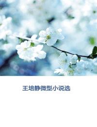 王培静微型小说选有声小说