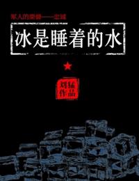 冰是睡着的水有声小说