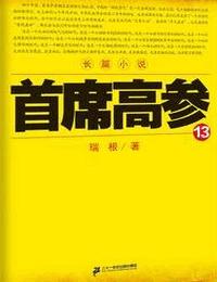 首席高参13有声小说