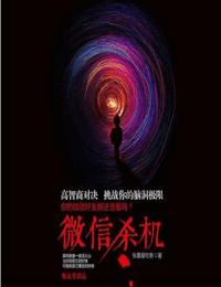 微信杀机有声小说